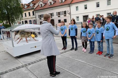 Čebela velikanka potuje po Kamniku (50)
